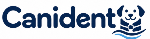 Canident